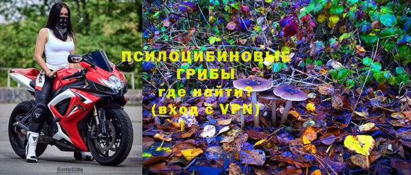 apvp Володарск