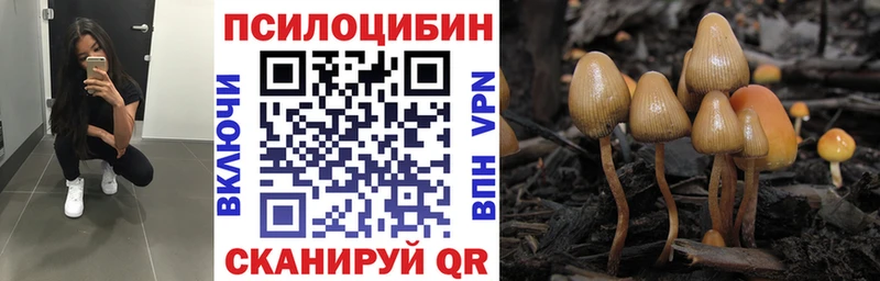 Псилоцибиновые грибы Magic Shrooms  где купить наркотик  Монино 